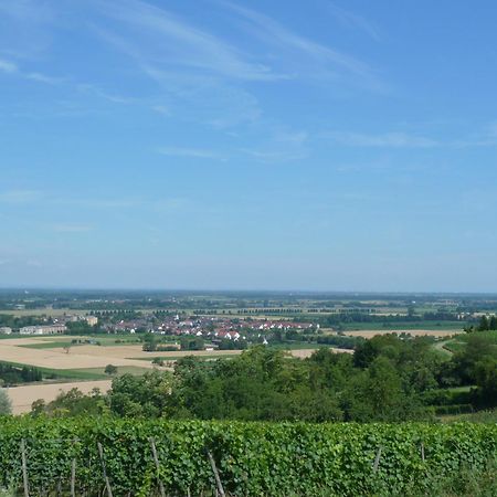 Schwarzwaldturmzimmer Lahr Bagian luar foto